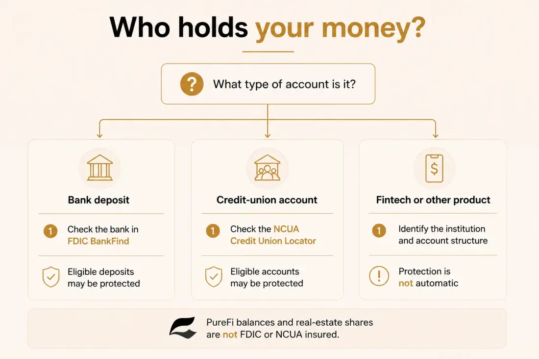Who holds your money: bank deposit, credit-union account, or fintech product, and how PureFi balances differ